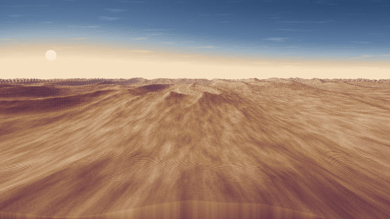 A dune sea under a low sun